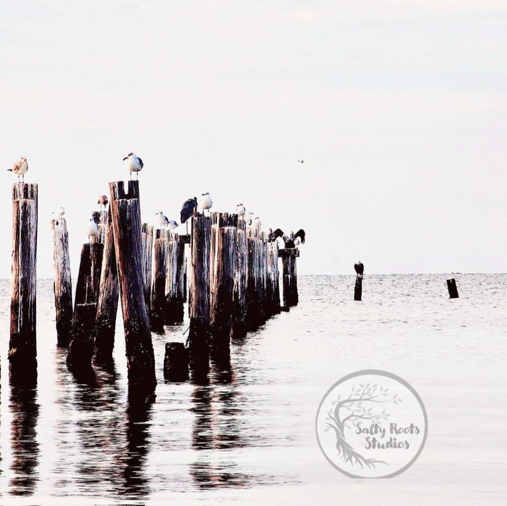 11x14 Photography print